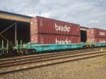 BRAD PRT-065188-5